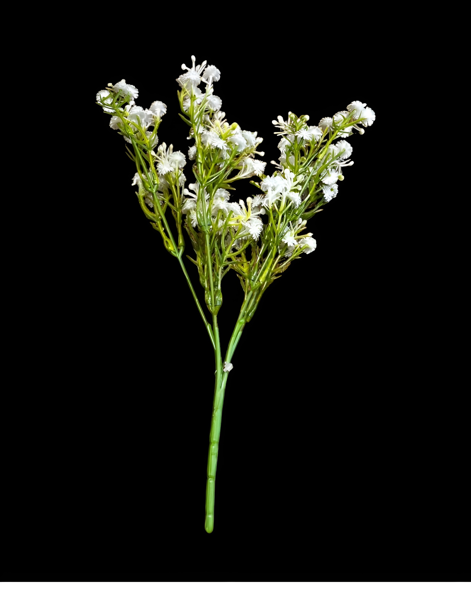 5 DALLI ISLAK CİPSO DEMETİ 30 CM