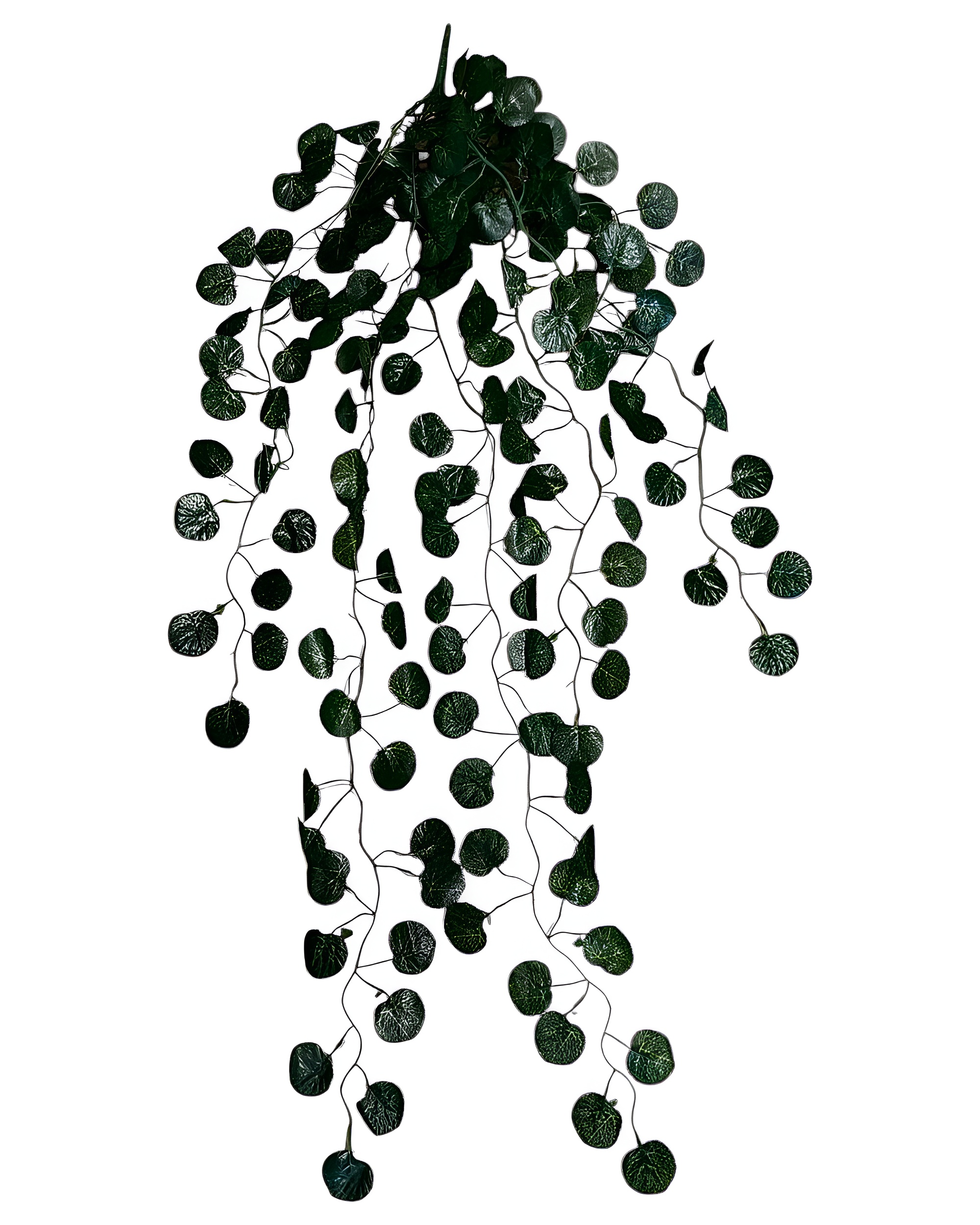 5 DALLI YUVARLAK YAPRAKLI SARKAN SARMAŞIK 85 CM