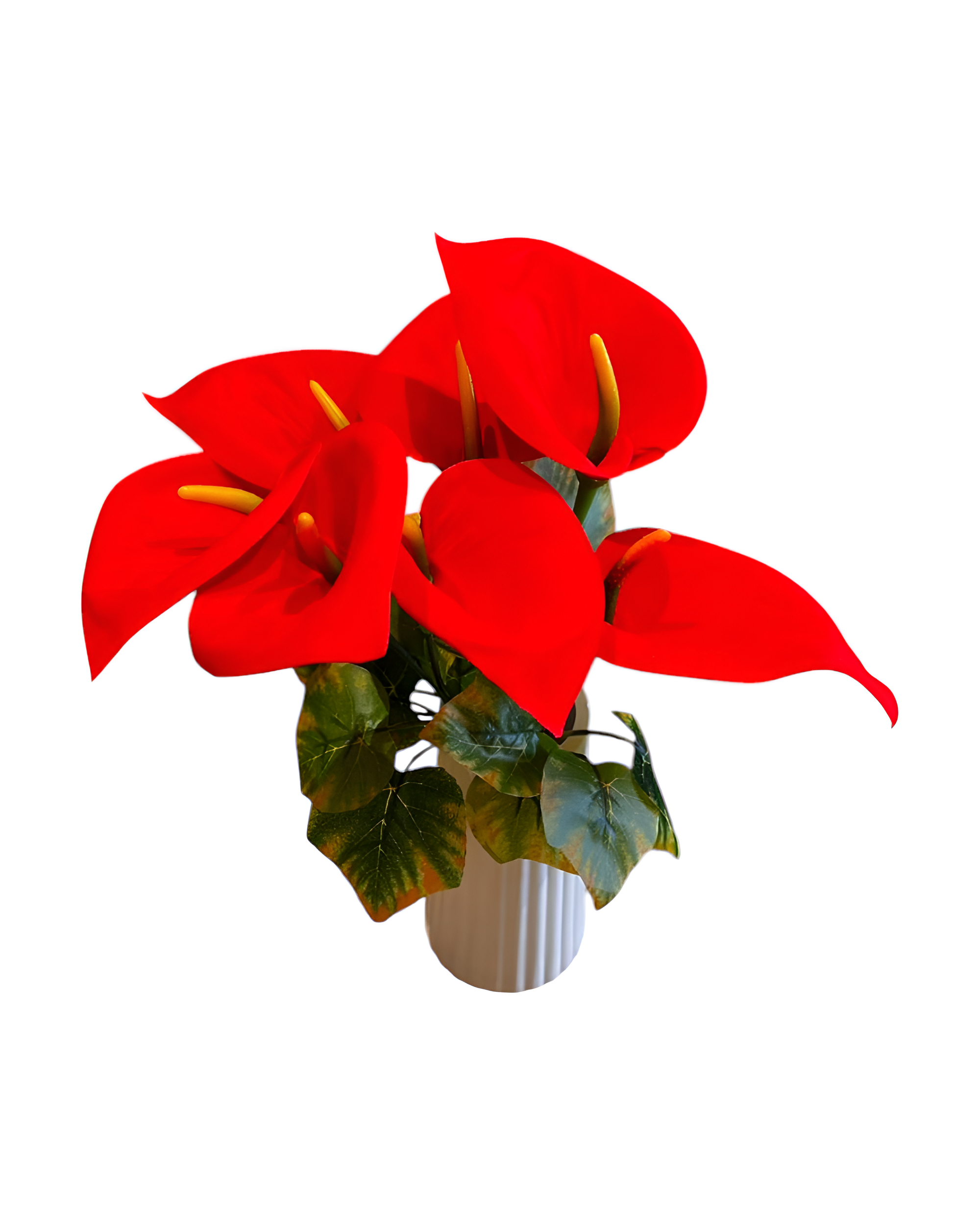 7'Lİ KADİFE GALA DEMETİ