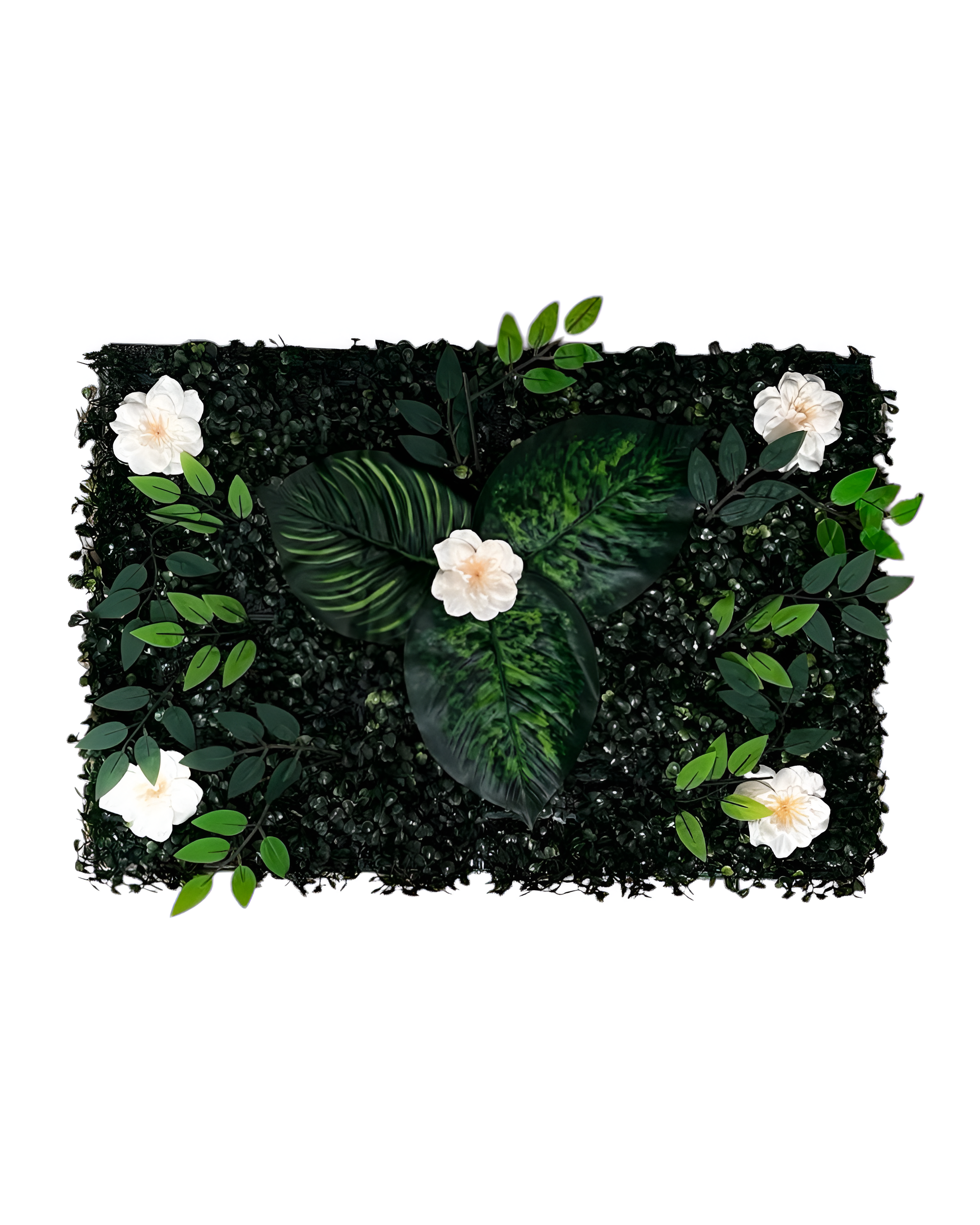 YAPAY ŞİMŞİR (YAPIŞKANLI)